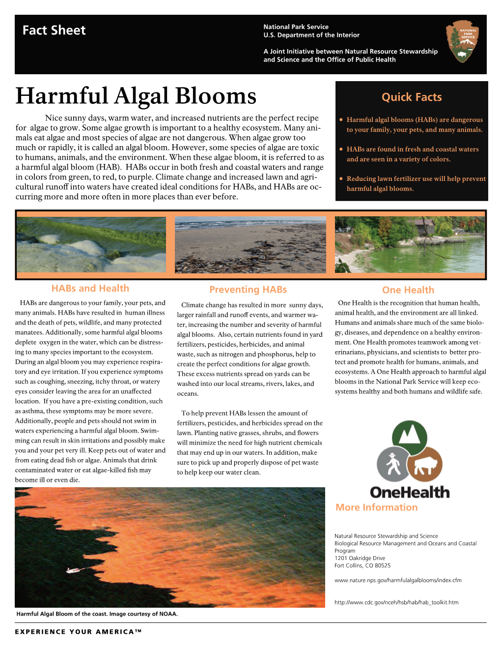 Harmful Algal Blooms Quick Facts