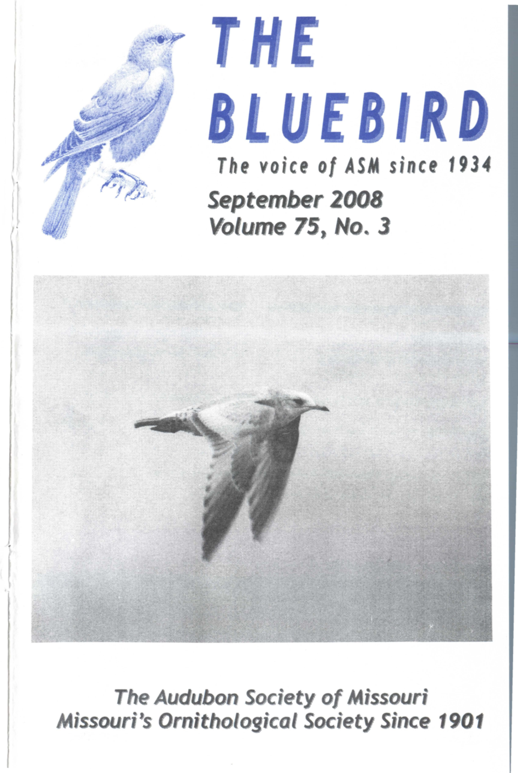 BLUEBIRD the Voice of ASM Since 1934 September 2008 Volume 75, Ho