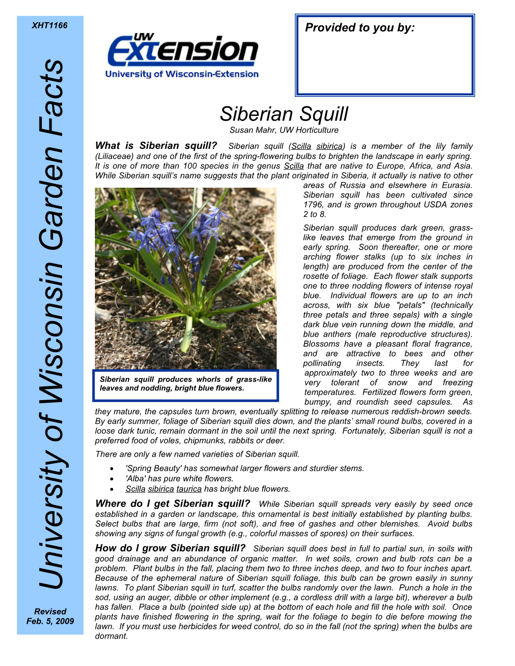 There Are Only a Few Named Varieties of Siberian Squill