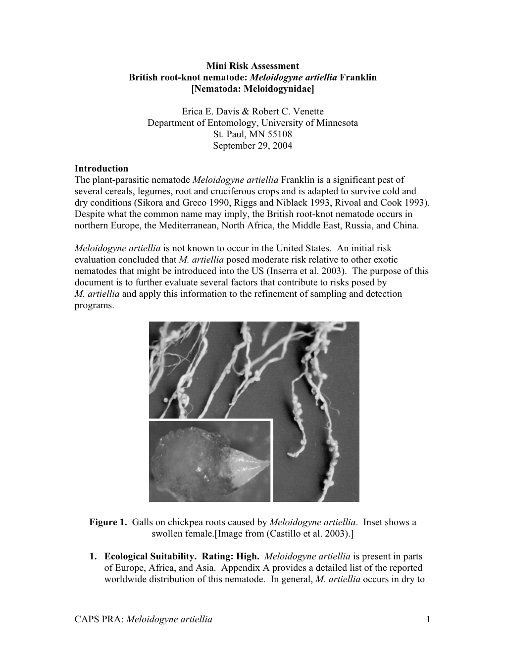 Meloidogyne Artiellia 1 Mini Risk Assessment British Root