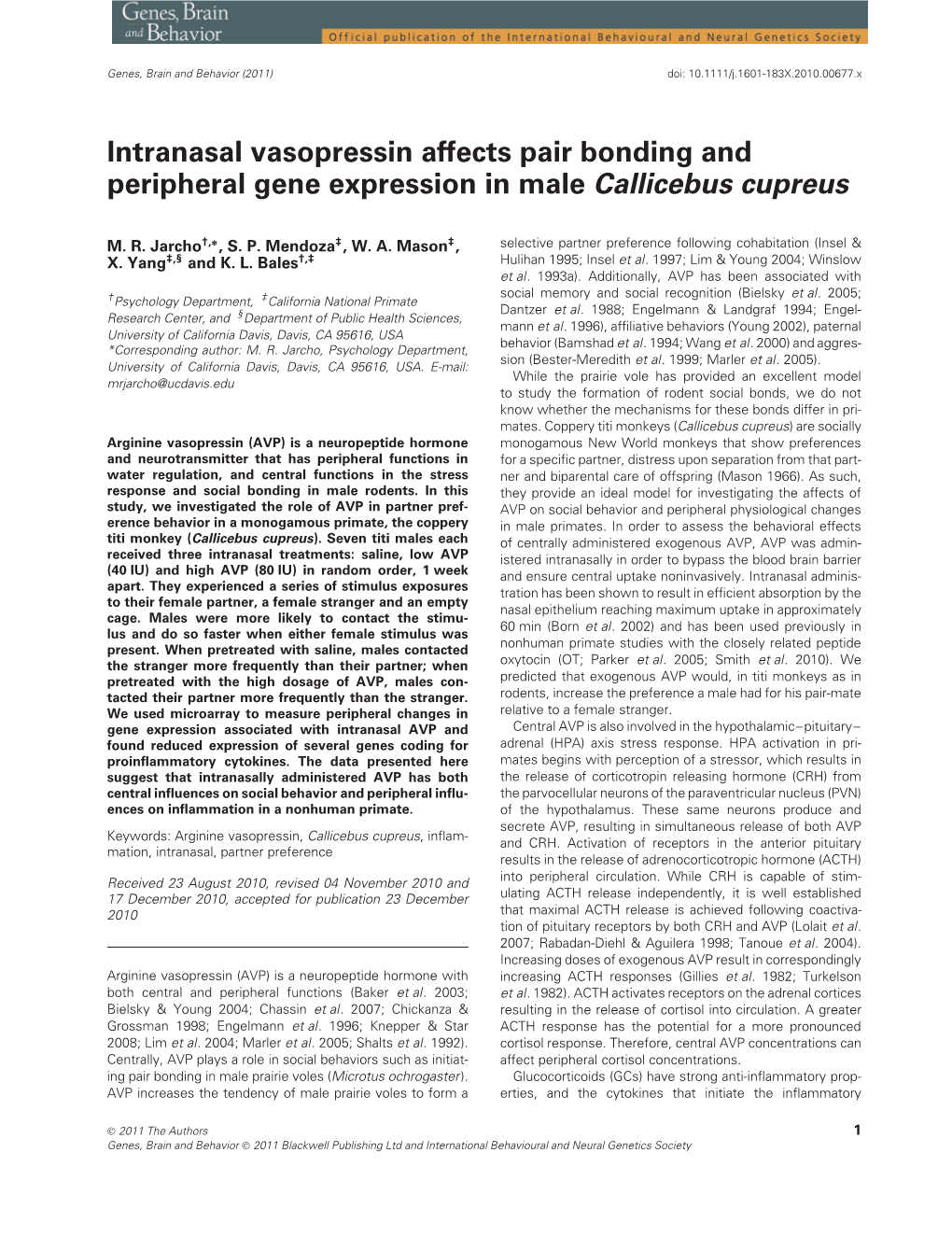 Intranasal Vasopressin Affects Pair Bonding and Peripheral Gene Expression in Male Callicebus Cupreus