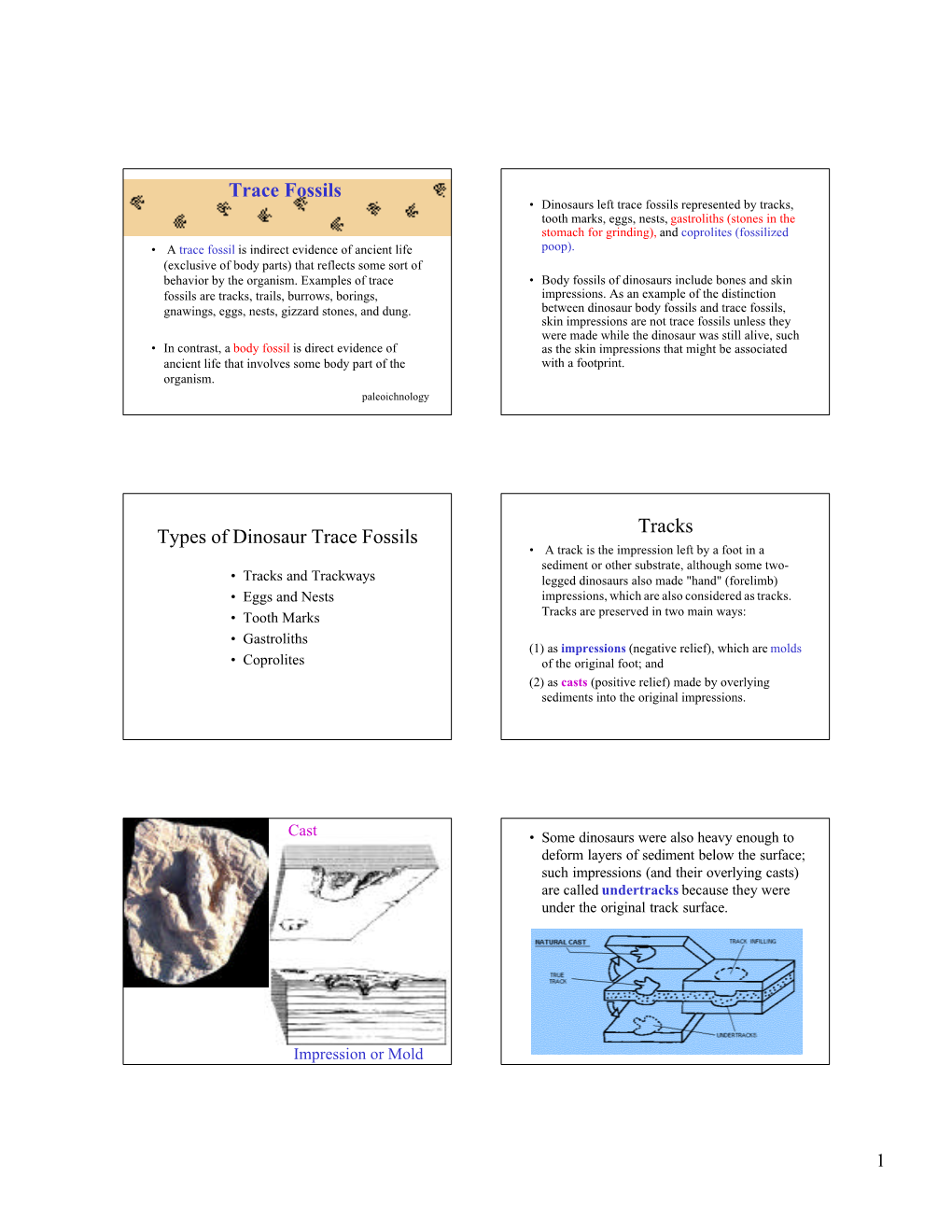 Trace Fossils Types of Dinosaur Trace Fossils Tracks