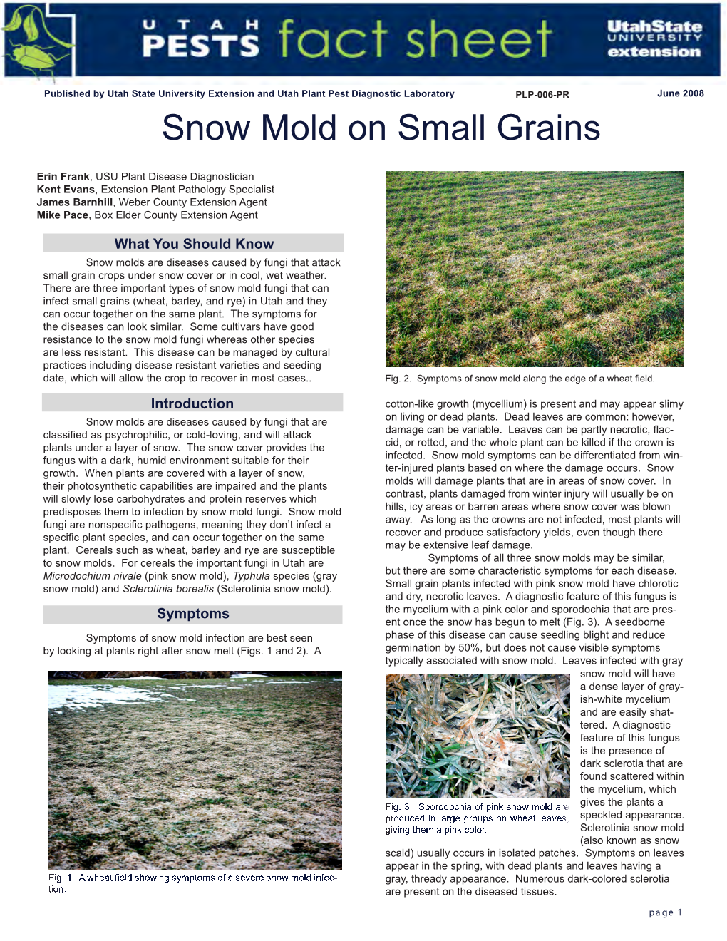 Snow Mold on Small Grains