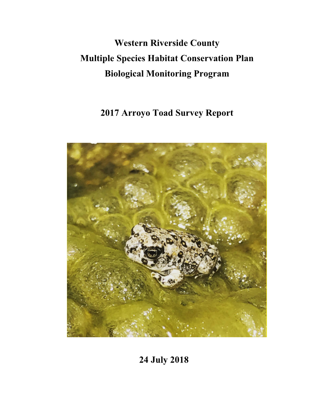 Arroyo Toad Survey Report 2017