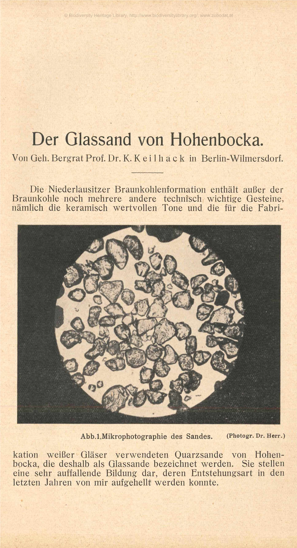 Der Glassand Von Hohenbocka. Von Geh