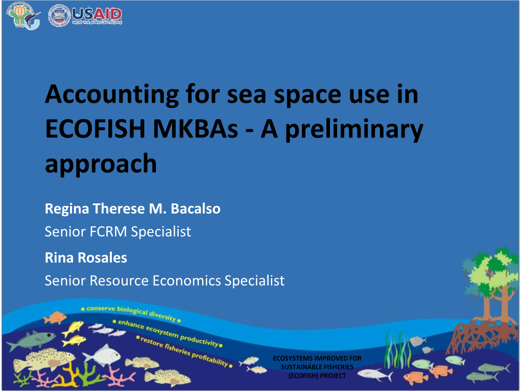Accounting for Sea Space Use in ECOFISH Mkbas - a Preliminary Approach
