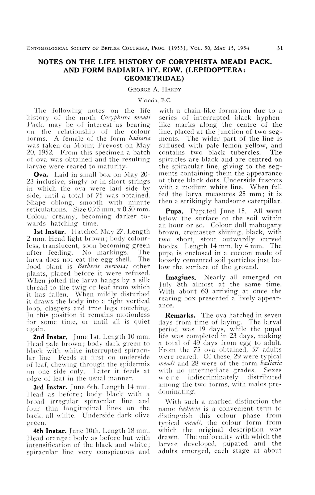 Notes on the Life History of Coryphista Mead I Pack. and Form Badiaria Hy. Edw. (Lepidoptera: Geometridae)