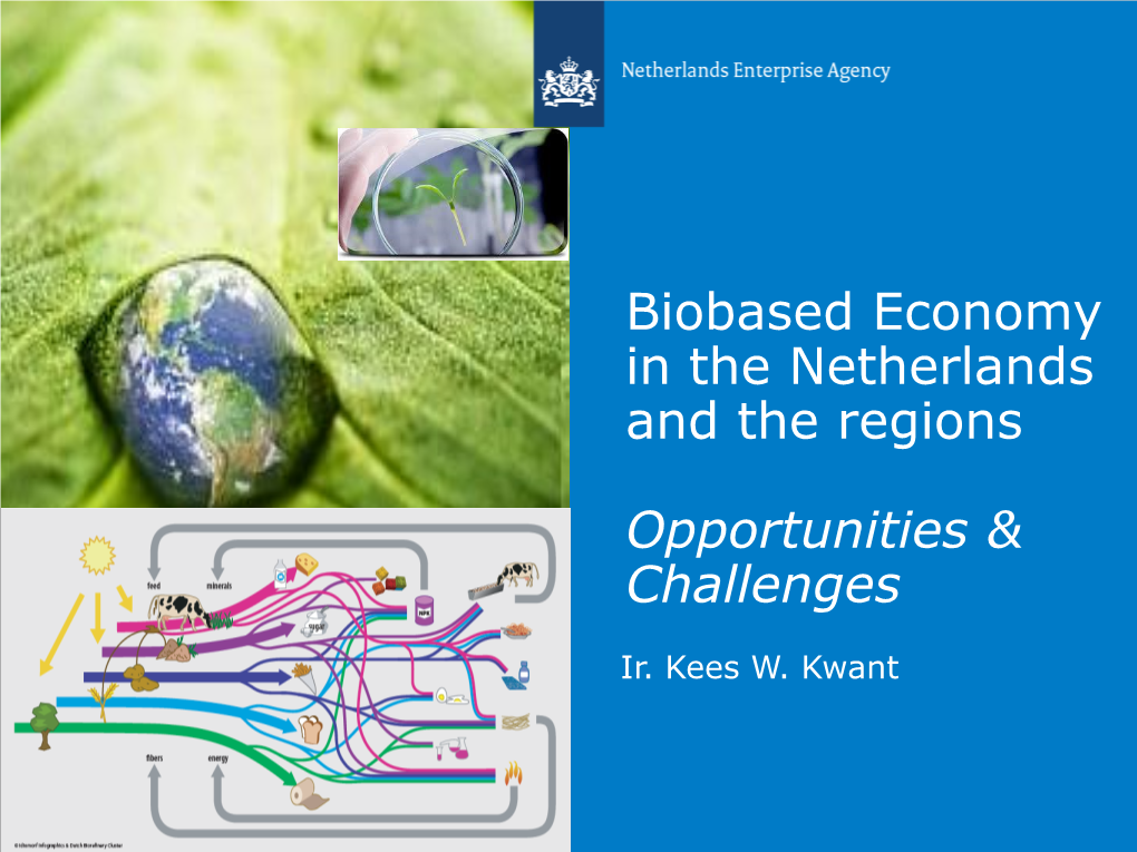 Biobased Economy in the Netherlands and the Regions Opportunities