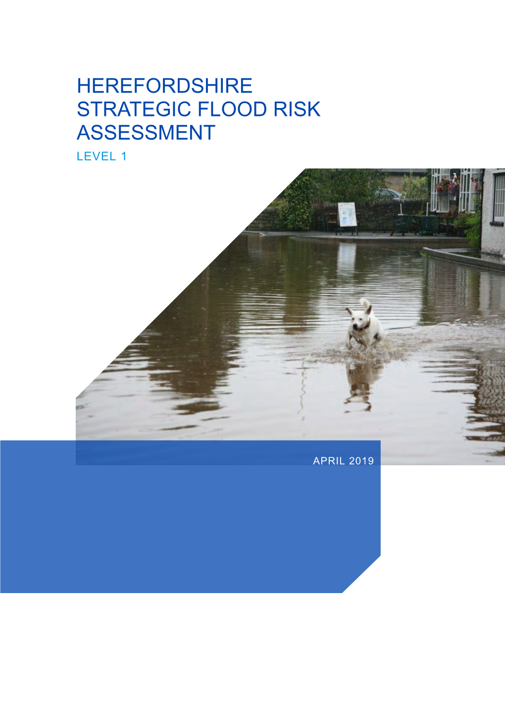 Level 1 Strategic Flood Risk Assessment (SFRA) Has Been Prepared on Behalf of Herefordshire Council to Update the Level 1 SFRA Published in 2009