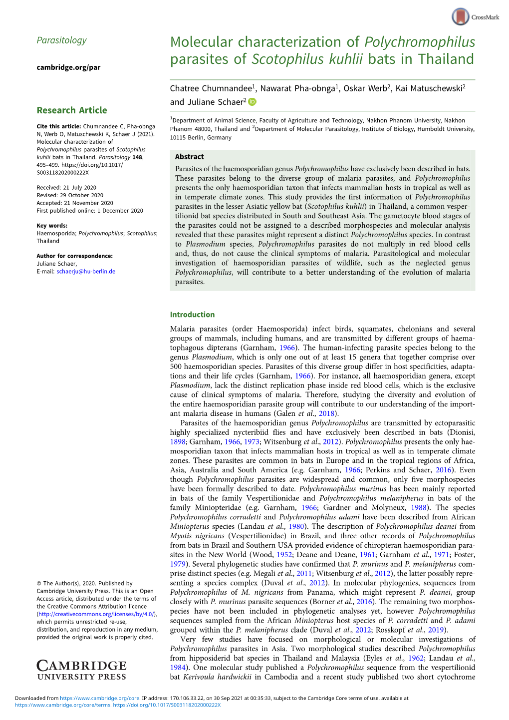 Molecular Characterization of Polychromophilus Parasites of Scotophilus Kuhlii Bats in Thailand Cambridge.Org/Par
