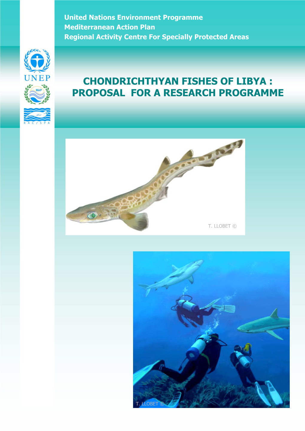 Chondrichthyan Fishes of Libya: Proposal for a Research Programme