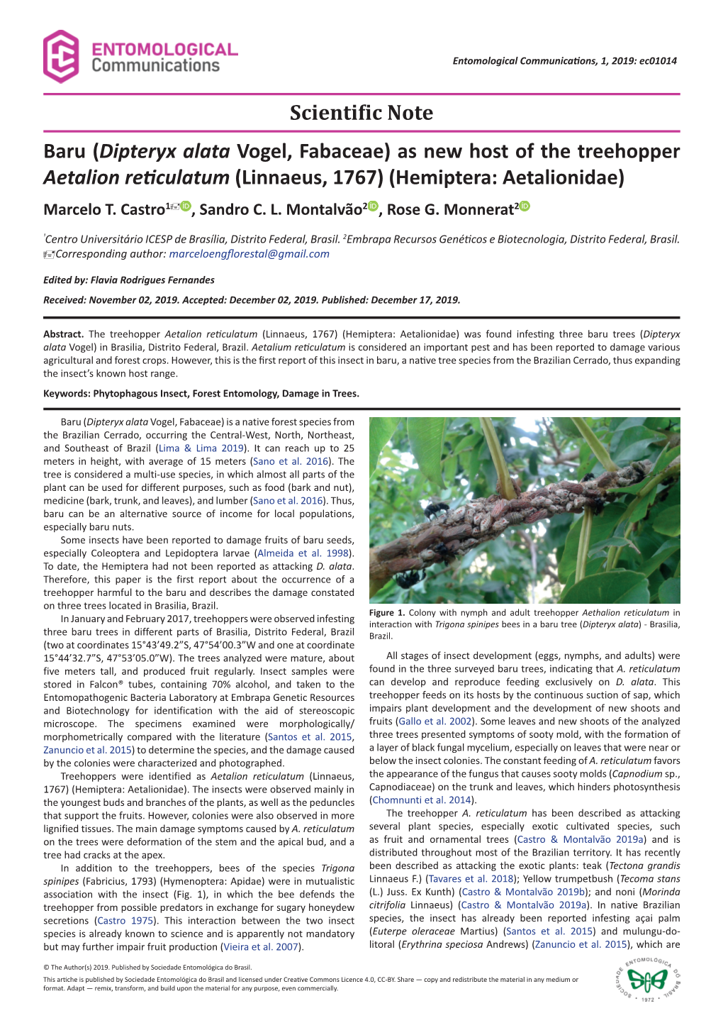 As New Host of the Treehopper Aetalion Reticulatum(Linnaeus, 1767) (Hemiptera: Aetalionidae) Marcelo T