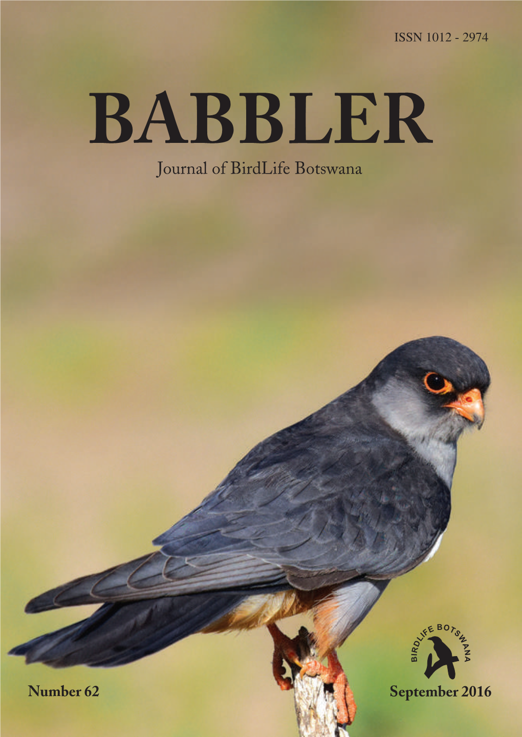 BABBLER Number 62 Number