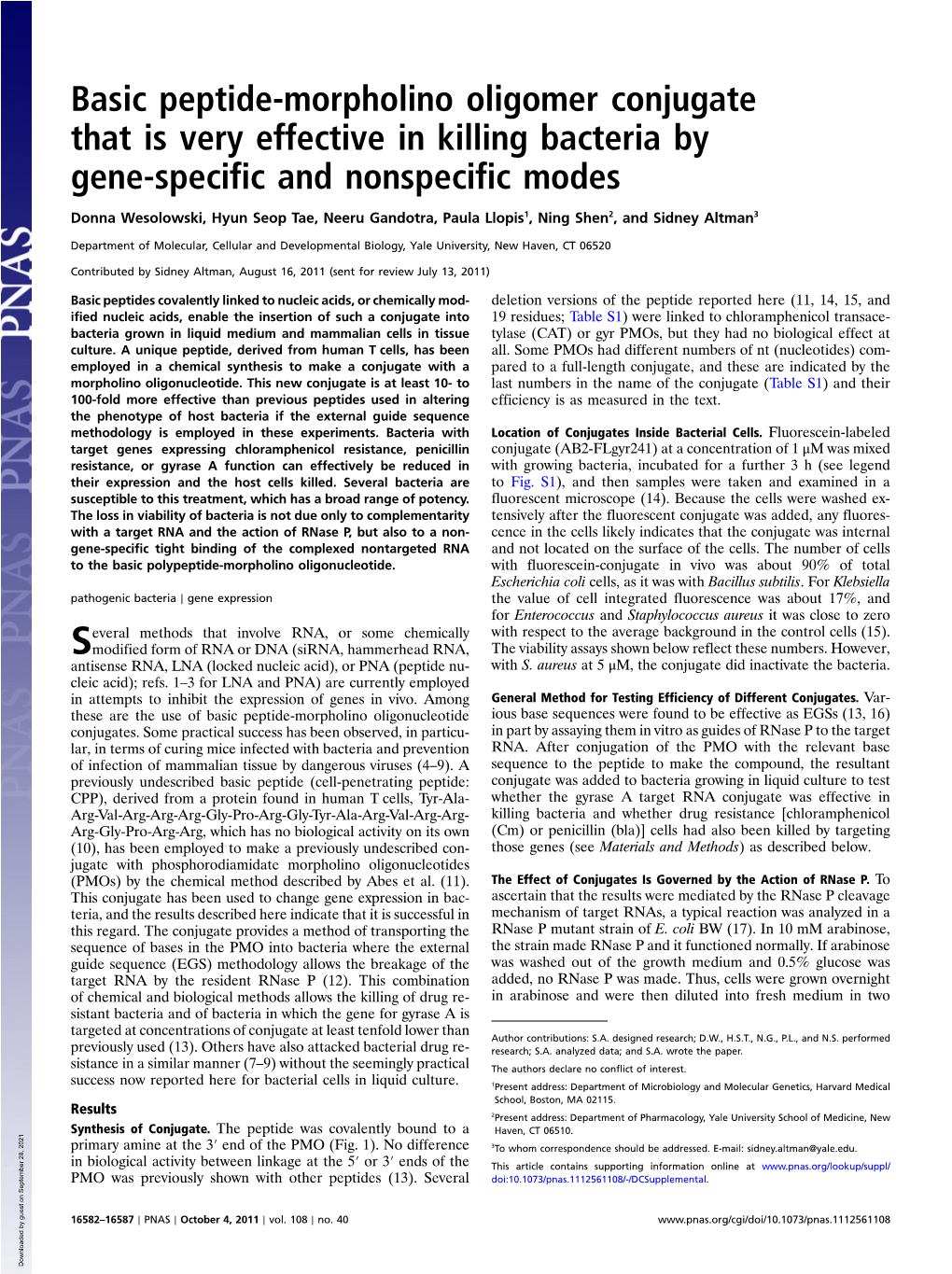 Basic Peptide-Morpholino Oligomer Conjugate That Is Very Effective in Killing Bacteria by Gene-Specific and Nonspecific Modes