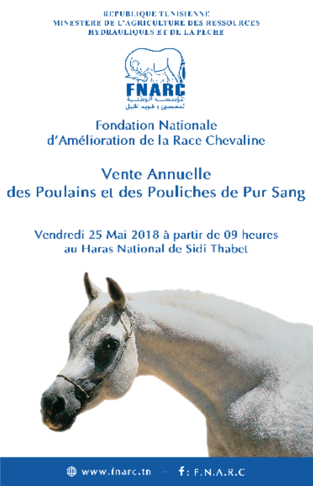 Catalogue De Vente 2018.Pdf