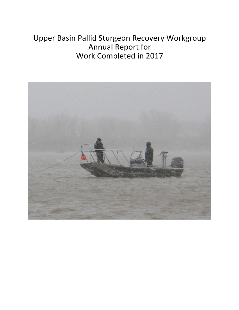 Upper Basin Pallid Sturgeon Recovery Workgroup Annual Report for Work Completed in 2017
