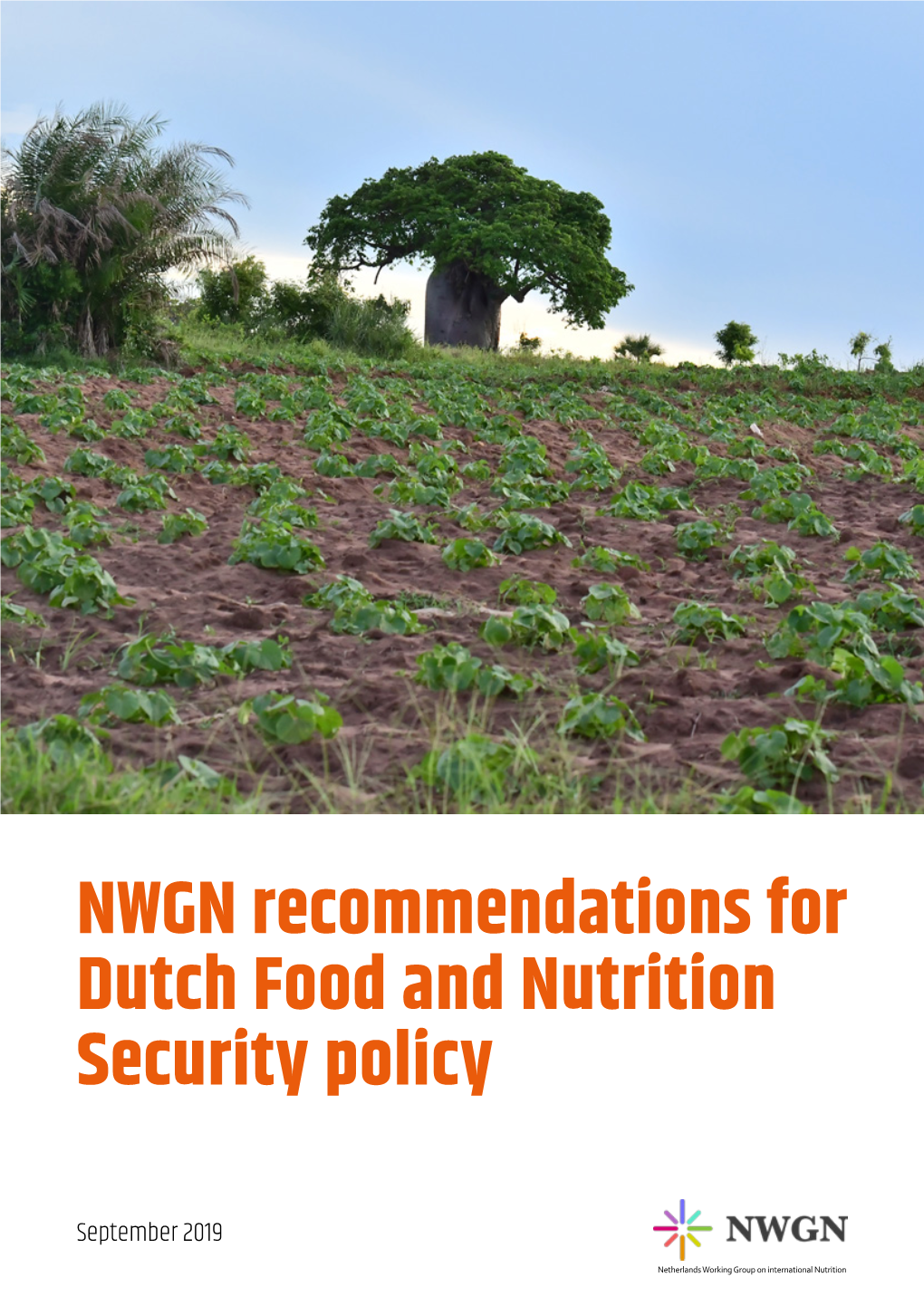 NWGN Recommendations for Dutch Food and Nutrition Security Policy