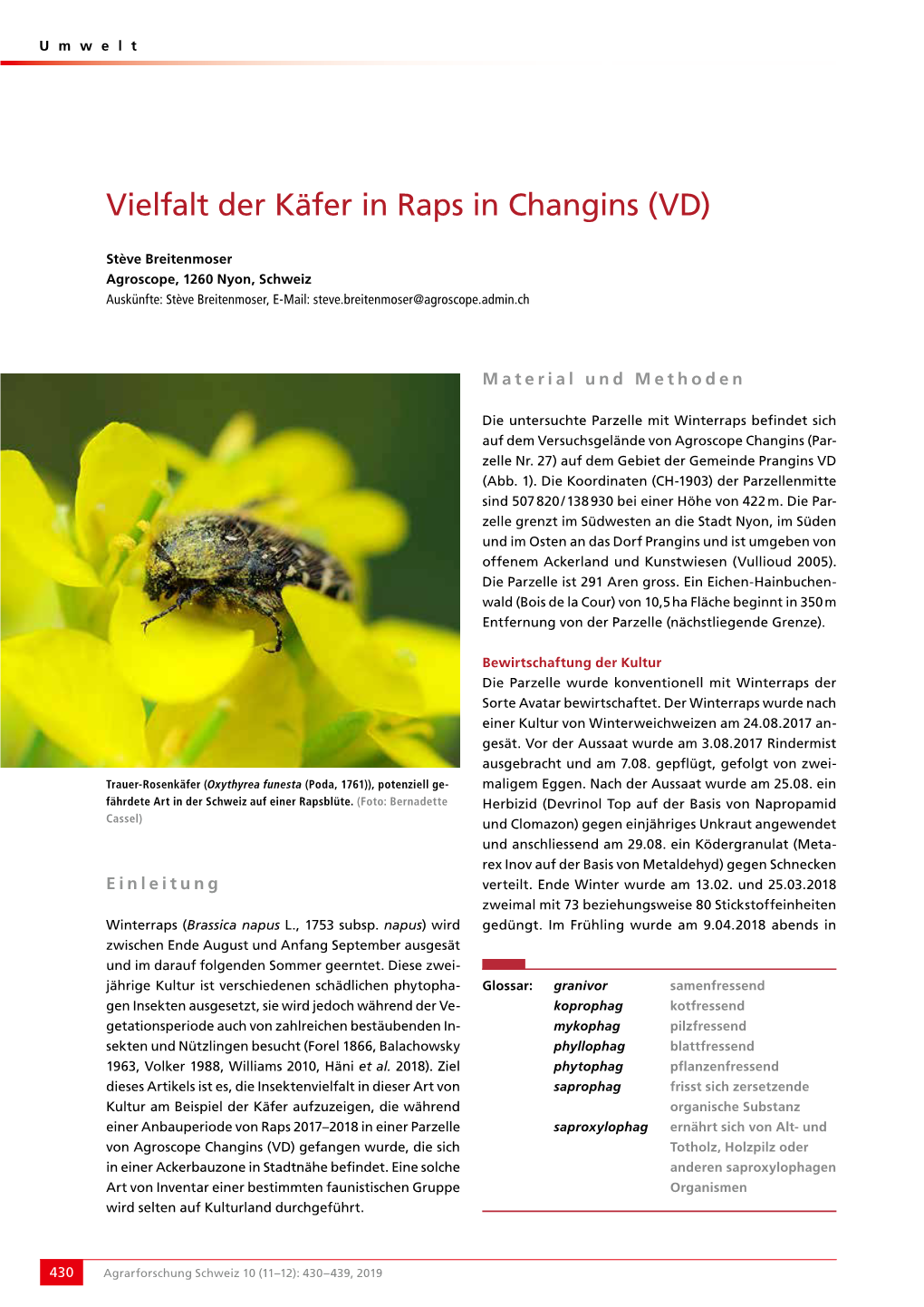 Vielfalt Der Käfer in Raps in Changins (VD)