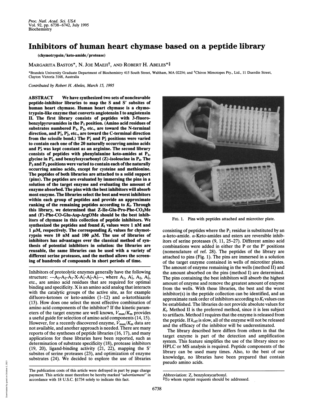 Inhibitors of Human Heart Chymase Based on a Peptide Library (Chymotrypsin/Keto-Amide/Protease) MARGARITA BASTOS*, N