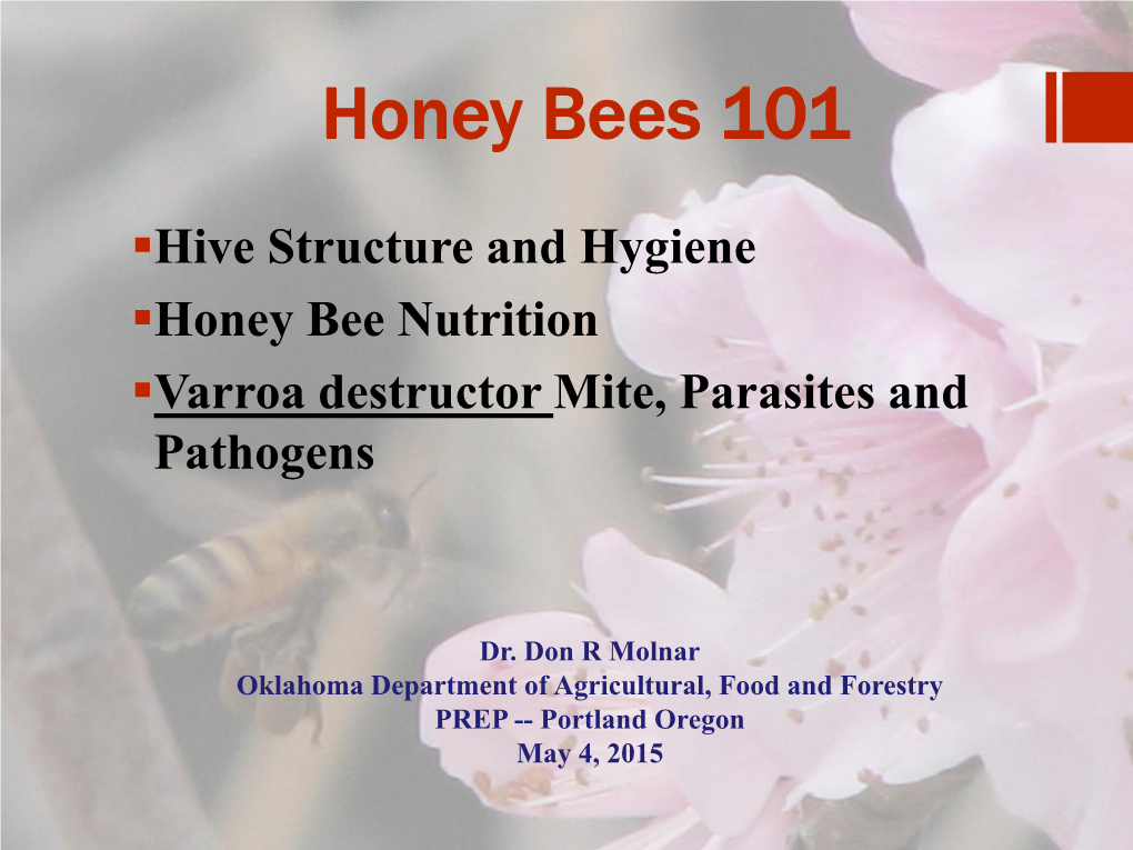 Honey Bees 101