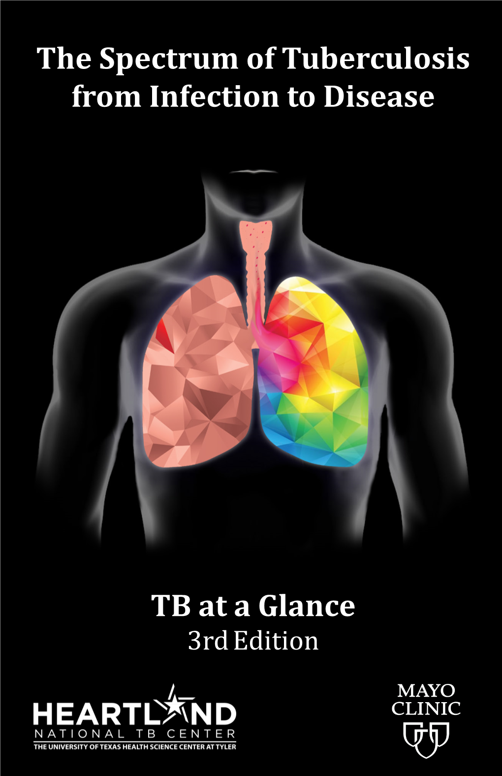 The Spectrum of Tuberculosis from Infection to Disease