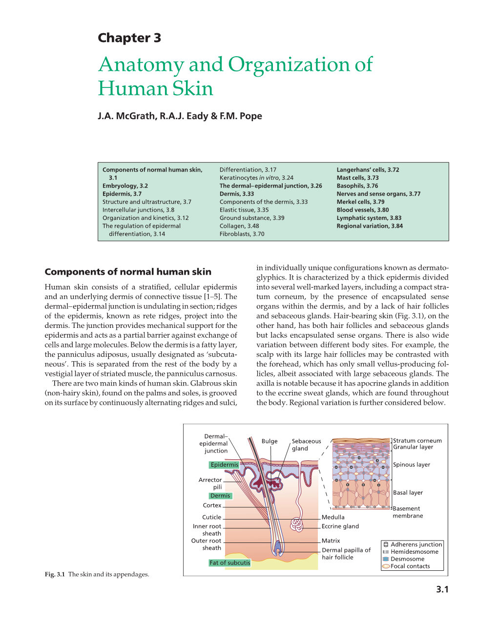 Anatomy and Organization of Human Skin