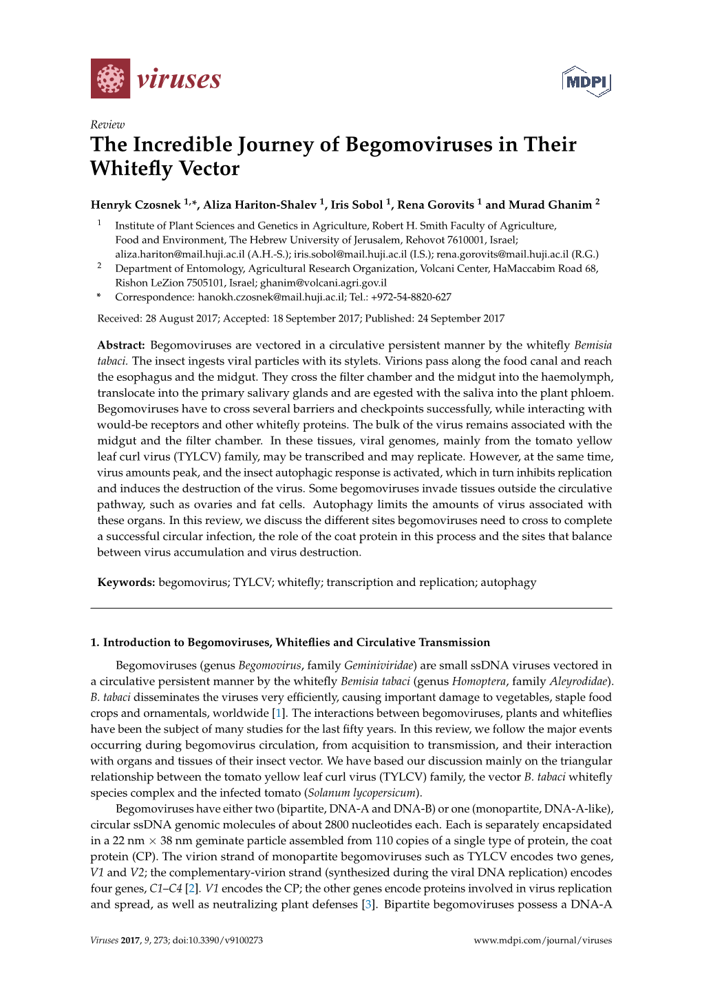 The Incredible Journey of Begomoviruses in Their Whitefly