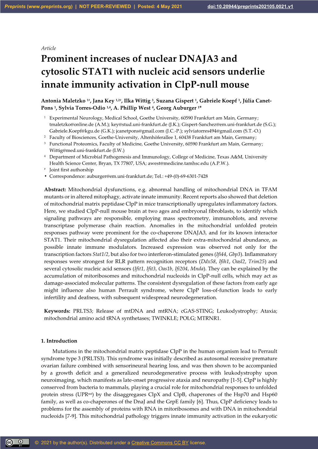 Prominent Increases of Nuclear DNAJA3 and Cytosolic STAT1 with Nucleic Acid Sensors Underlie Innate Immunity Activation in Clpp-Null Mouse
