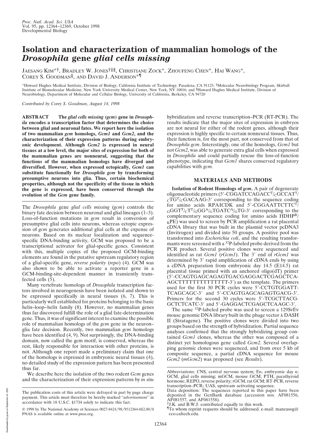 Isolation and Characterization of Mammalian Homologs of the Drosophila Gene Glial Cells Missing