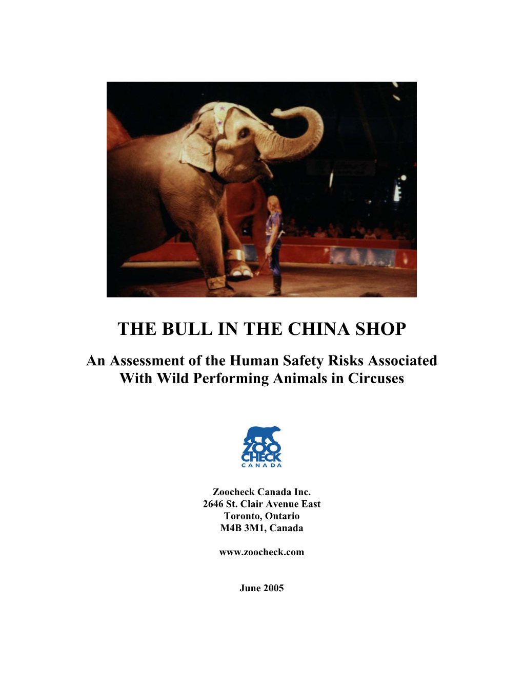 The Bull in the China Shop