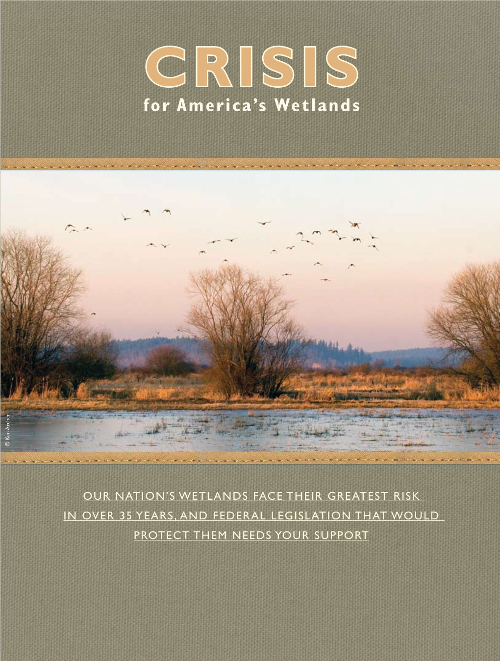 Crisis for America's Wetlands