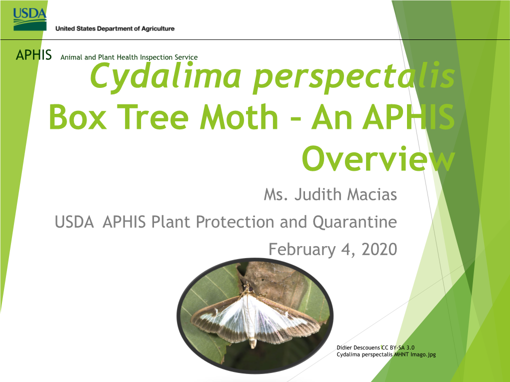Cydalima Perspectalis Box Tree Moth – an APHIS Overview Ms