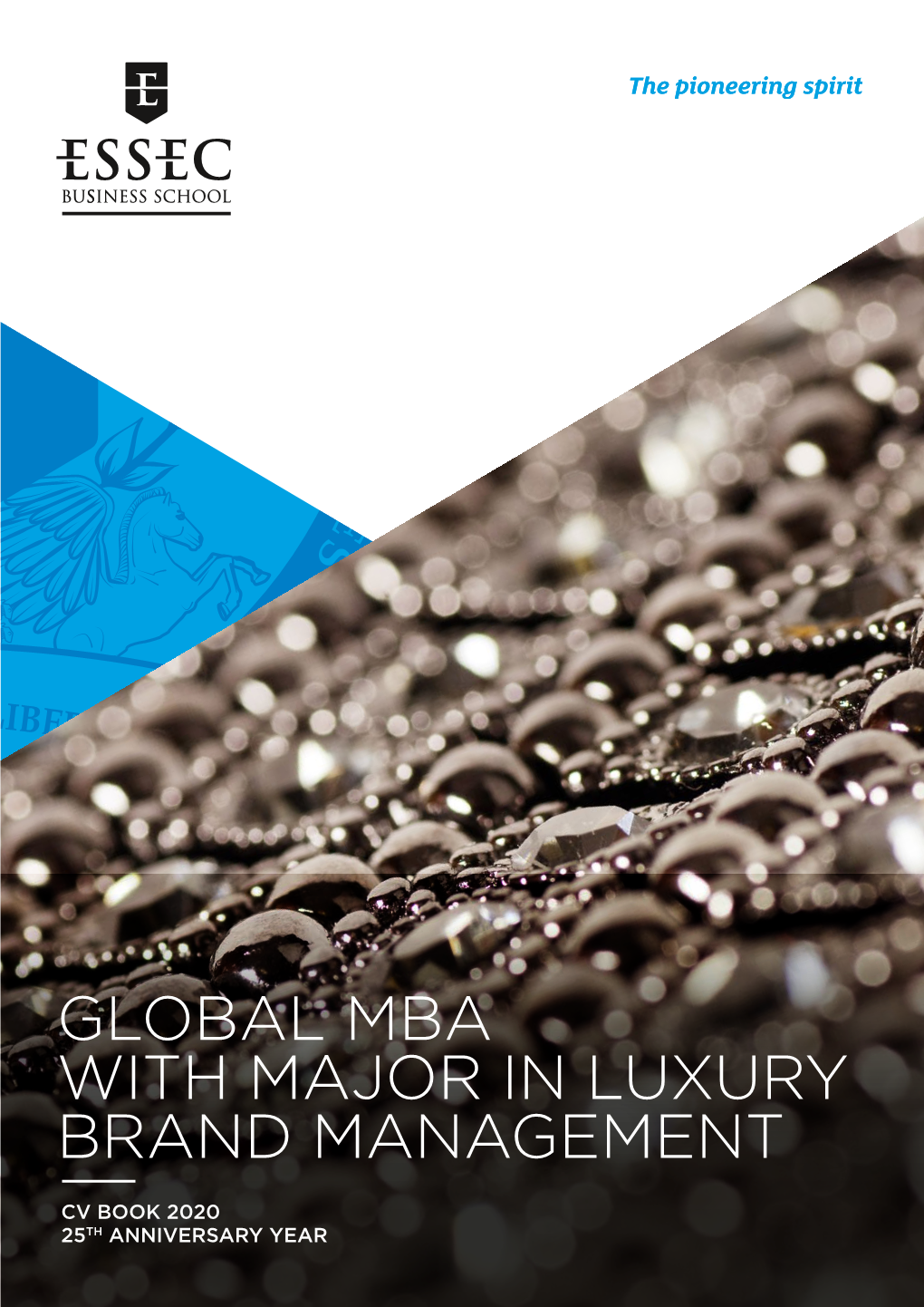 Global Mba with Major in Luxury Brand Management