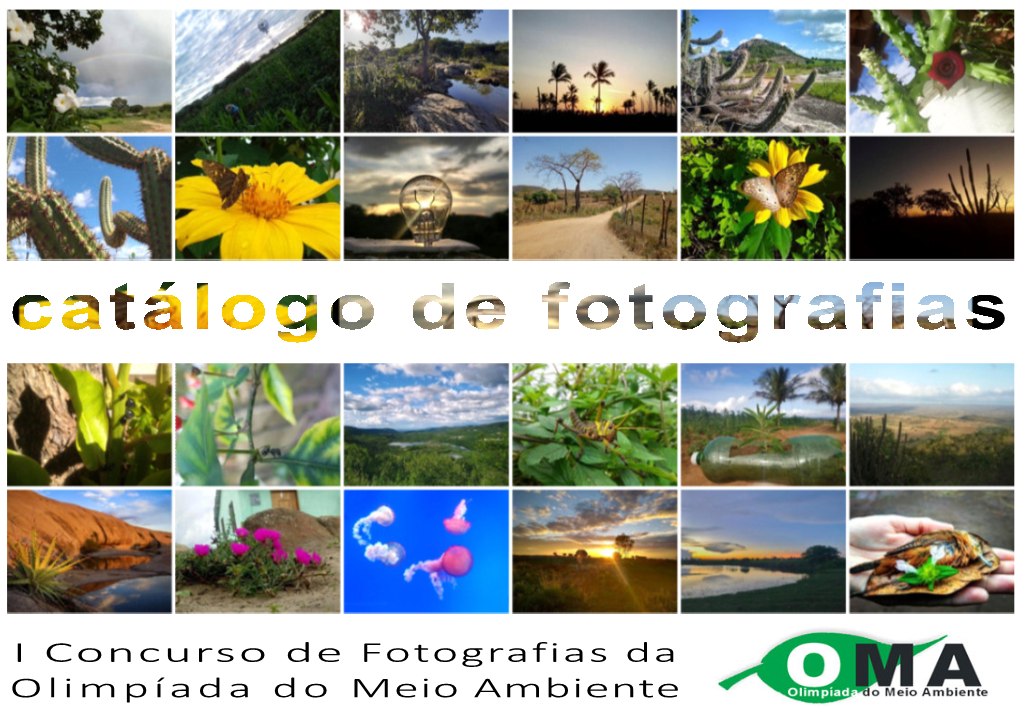 Catálogo De Fotografias Da OMA 2020