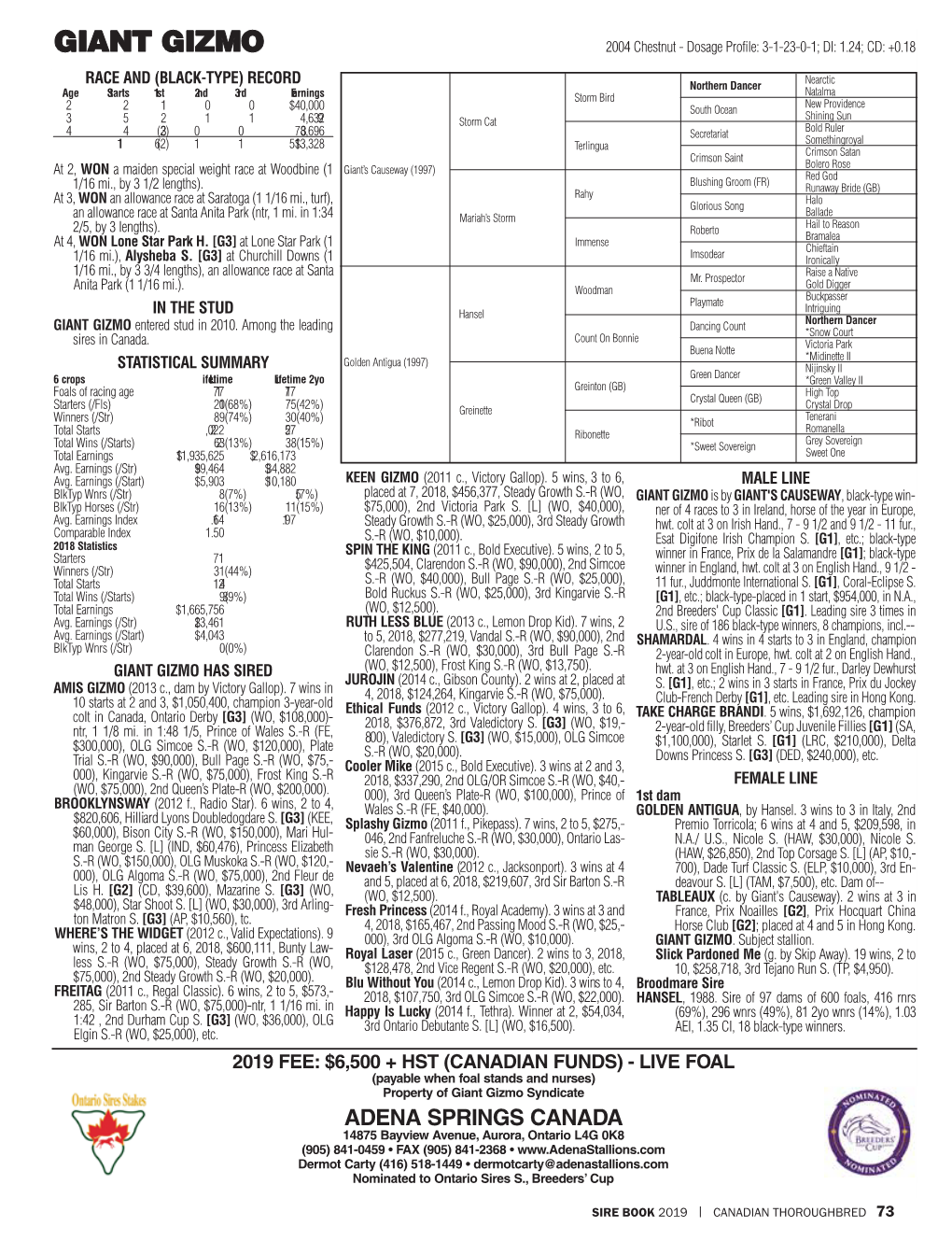 GIANT GIZMO 2004 Chestnut - Dosage Profile: 3-1-23-0-1; DI: 1.24; CD: +0.18