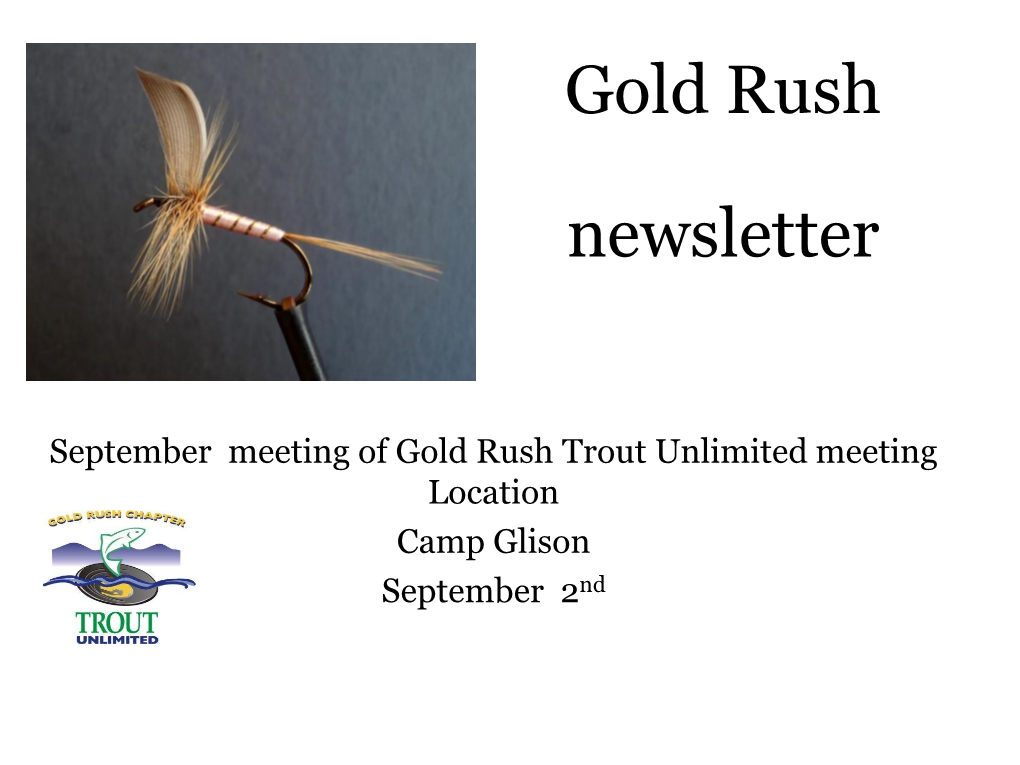 Gold Rush Tu