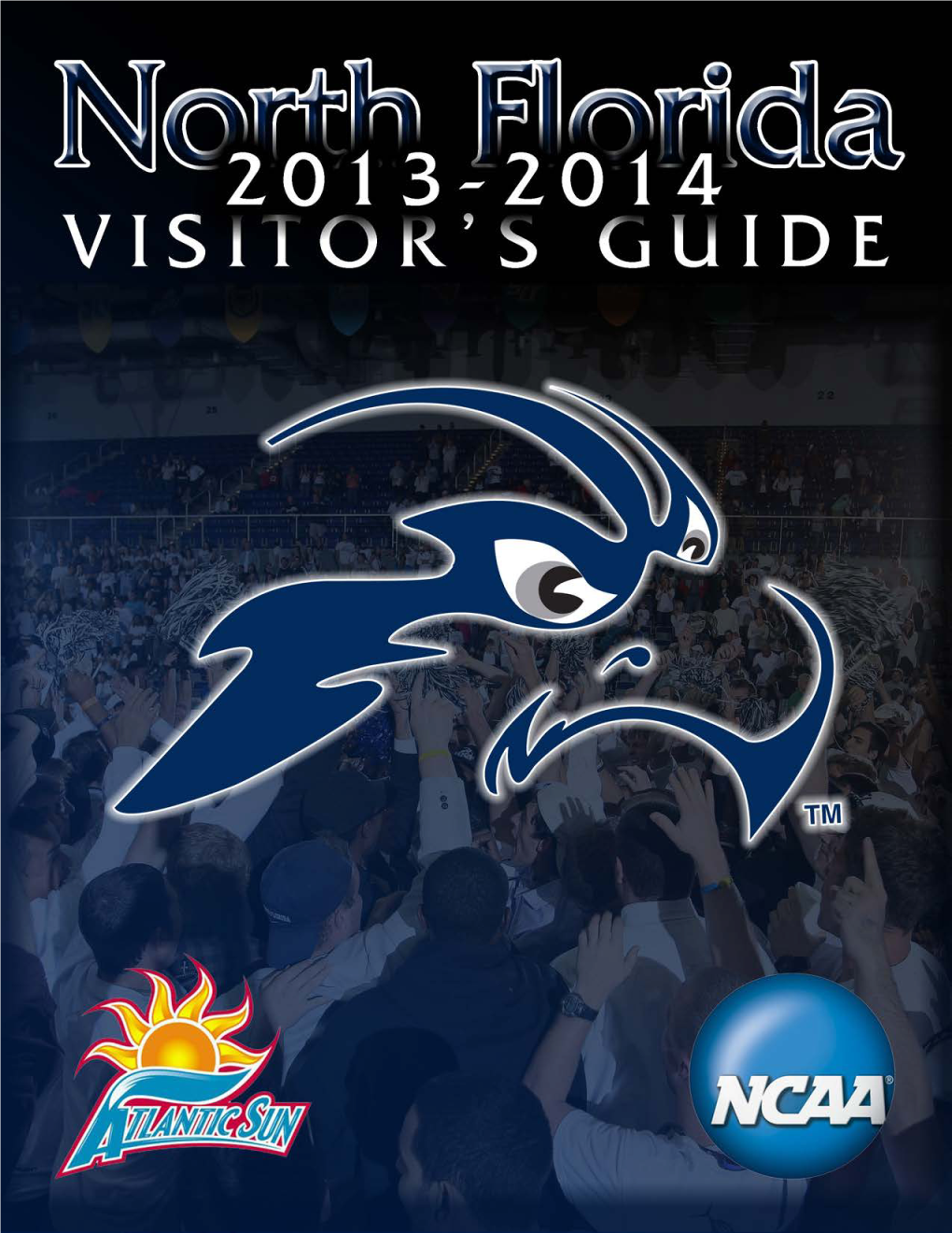 2013-2014 Visitor S Team Guide