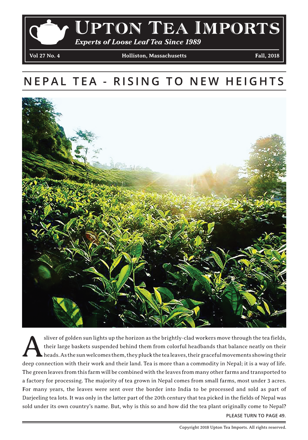 Nepal Tea - Rising to New Heights