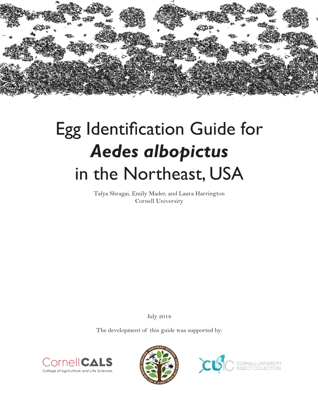 Egg Identification Guide for Aedes Albopictus in the Northeast, USA Talya Shragai, Emily Mader, and Laura Harrington Cornell University