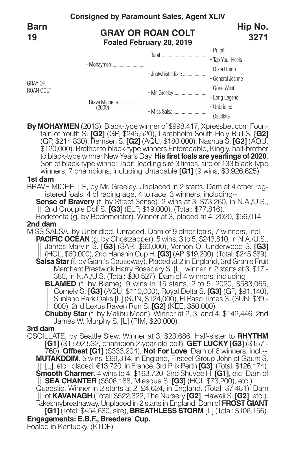 GRAY OR ROAN COLT Barn 19 Hip No. 3271