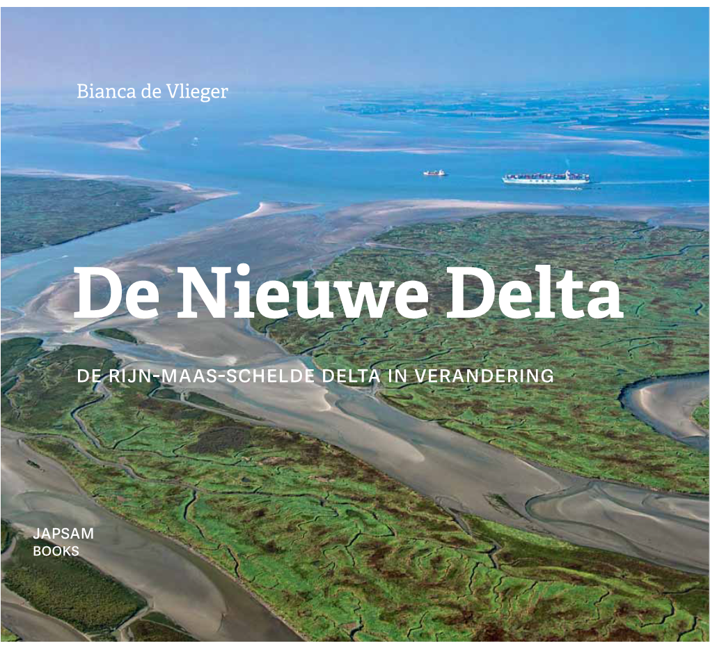 De Nieuwe Delta