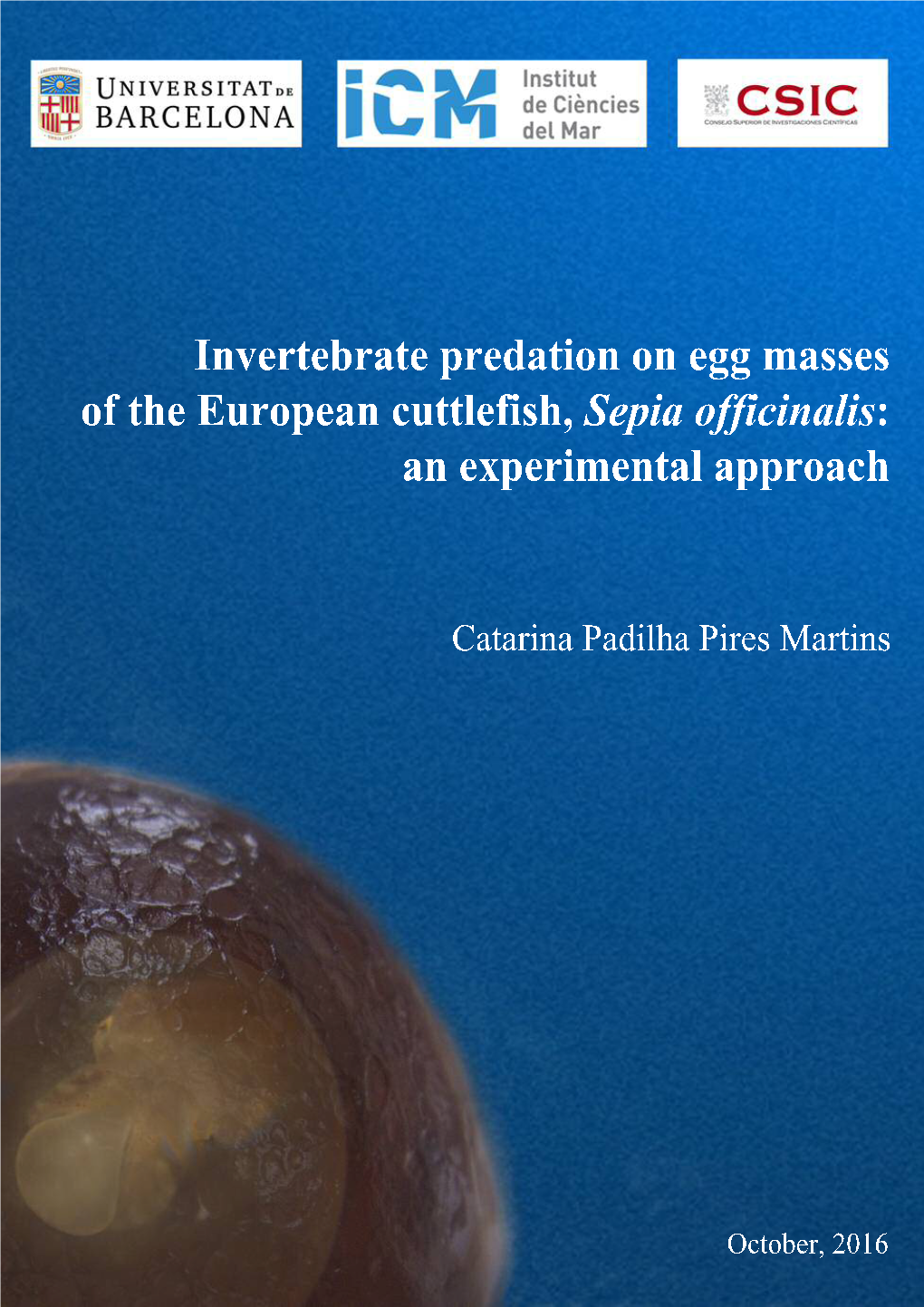 Invertebrate Predation on Egg Masses of the European Cuttlefish, Sepia