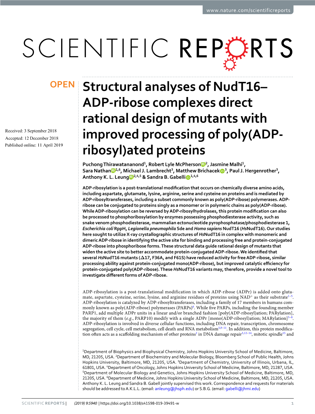 Structural Analyses of Nudt16–ADP-Ribose Complexes Direct