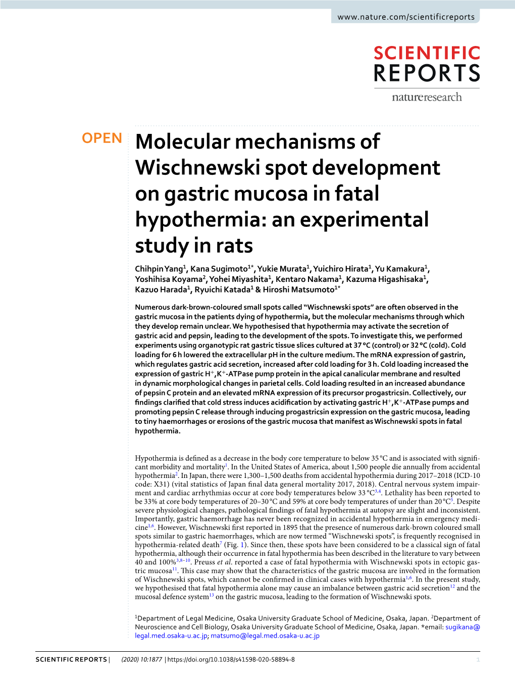 Molecular Mechanisms of Wischnewski Spot