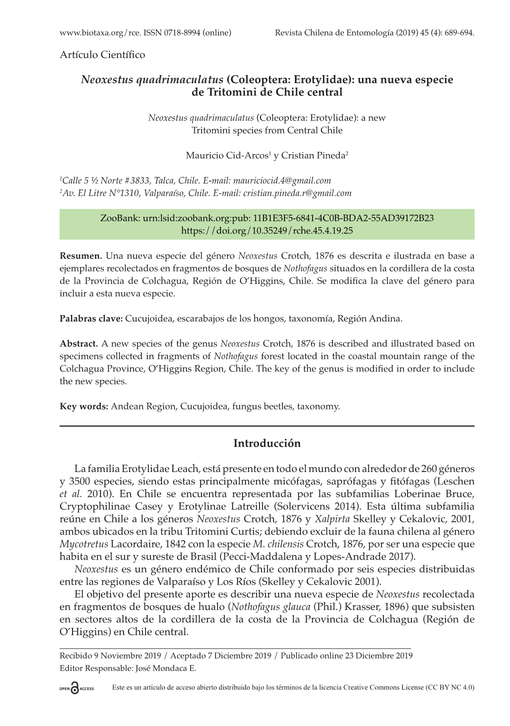 Coleoptera: Erotylidae): Una Nueva Especie De Tritomini De Chile Central