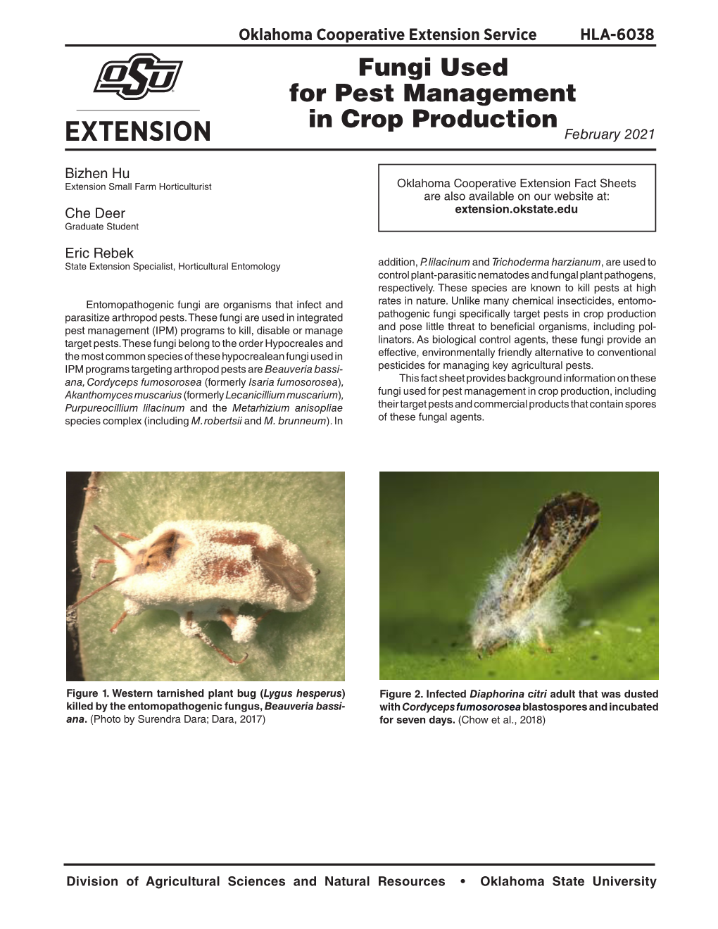 Fungi Used for Pest Management in Crop Production February 2021