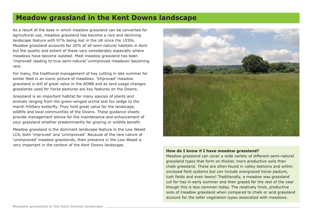 Meadow Grassland in the Kent Downs Landscape Meadow Grassland in the Kent Downs Landscape