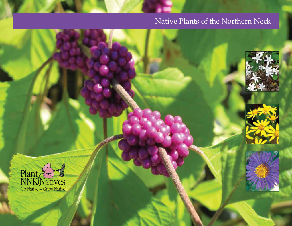 Habitat Northern Neck Native Plants (PDF)