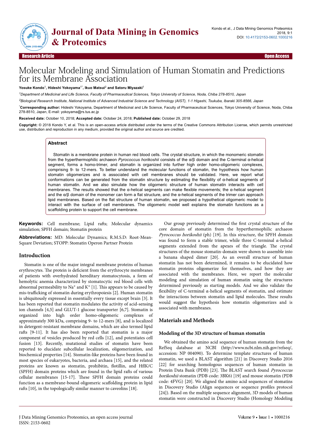 Molecular Modeling and Simulation of Human Stomatin and Predictions