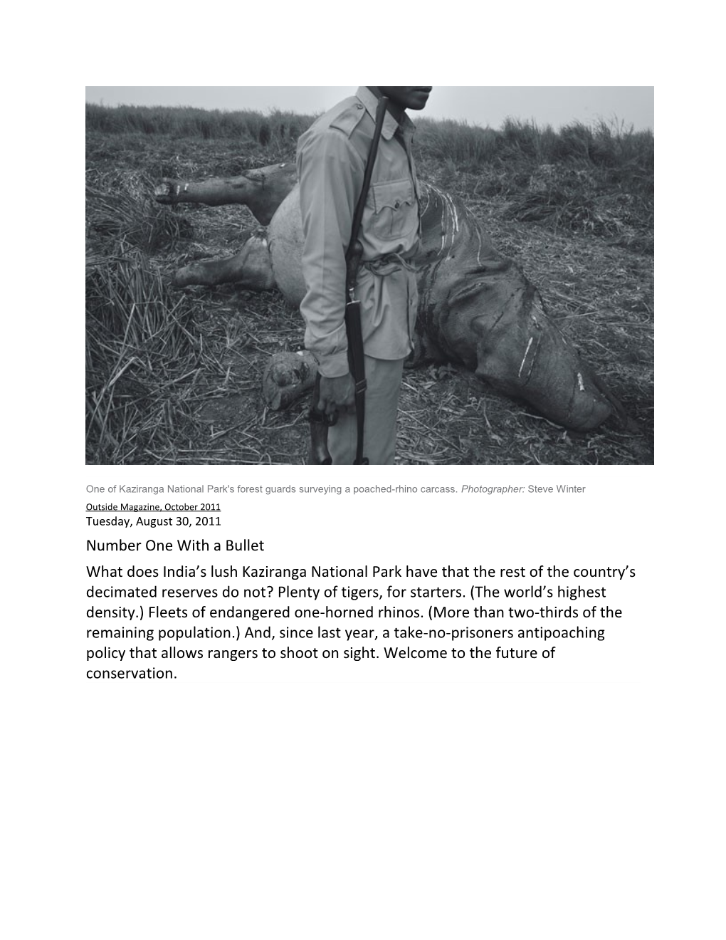 One of Kaziranga National Park's Forest Guards Surveying a Poached-Rhino Carcass. Photographer